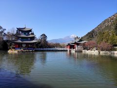 -黑龙潭公园