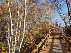 -塞罕坝国家级自然保护区