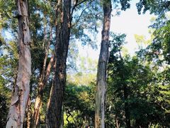 -华南国家植物园-售票处