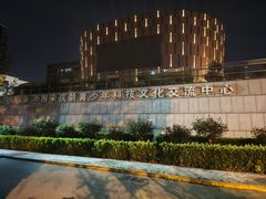 -中国宋庆龄青少年科技文化交流中心