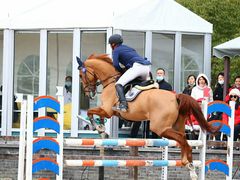 -松声马术俱乐部