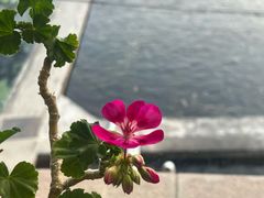 -天源渔港农庄