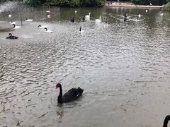 -广州长隆飞鸟乐园