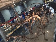 -国家自然博物馆