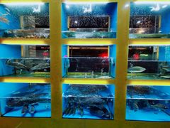 -淳安二十八道·美食汇·淳鱼馆(阳光路店)