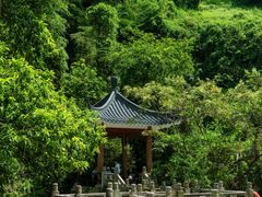 -水濂山森林公园