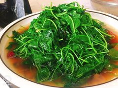 -蔡阿水羊肉店