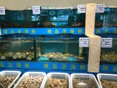 水产区-韩记海鲜饺子(隆仁世家店)