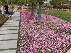 -春花秋色城市公园