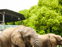 -常州淹城野生动物世界