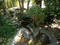 -活水公园