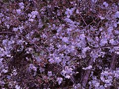 -西北湖绿化广场