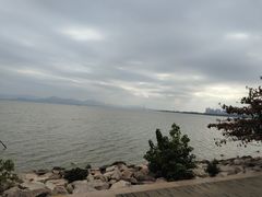 -深圳湾公园(南山区)