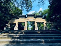 -灵谷景区