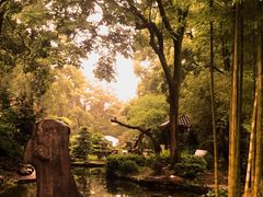-南山植物园