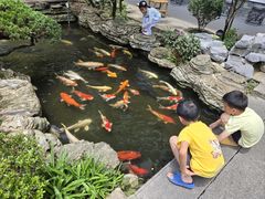 -聚福宝合苑食府(南头镇店)