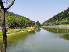 -青龙山国家森林公园