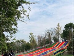 -桃园农庄·桃源宴