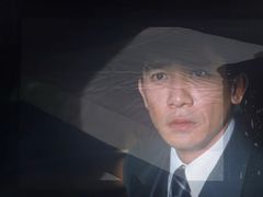 -又一春 Spring Garden