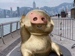-星光大道