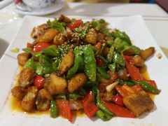 -煲来饱去冷水鱼