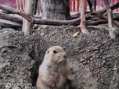 -国色天乡三期陆地乐园