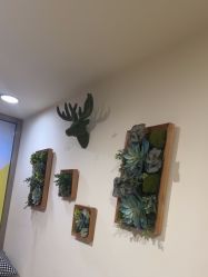 -丽时 Hair Salon