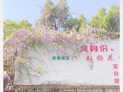 -双季花艺园艺市场(浦东店)