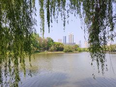 -月湖风景区