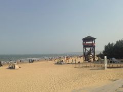 -日照海滨国家森林公园