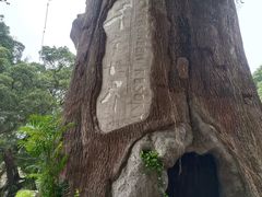 -青青世界