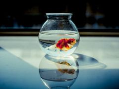 android_upload_pic-大众迷你仓自助寄存仓库(八卦岭2店)