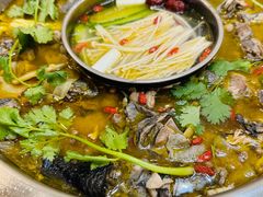 -黑河坝泡姜鸡贡椒鱼(贾旗路店)