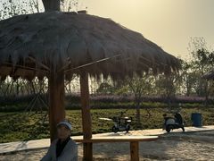 -西安汉城湖景区