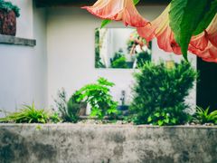 -翠田Green Field Kitchen