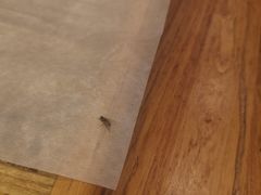 -熙成烧烤(白塔岭店)
