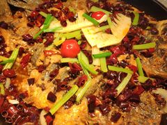 -老板恋上鱼(恒隆广场店)