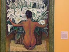 -旧金山现代艺术博物馆