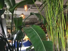 -the rug 飞毯 (朝阳公园店)