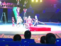 -珠海横琴长隆《卡卡虎奇遇记》