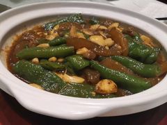 增椒烧蹄筋-鞍山大白鲨美食酒店