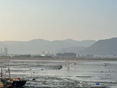 -北岐滩涂