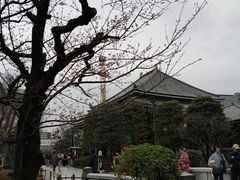 -浅草寺
