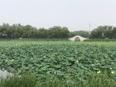 -亲兄弟真人CS团建拓展基地