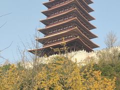 -牛首山文化旅游区