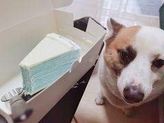 -小半有礼(天河南店)