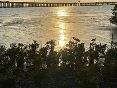 -宝安西湾红树林湿地公园