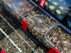 -红月湾海鲜饭店•沙滩海景(双月湾店)