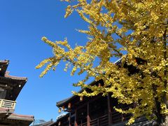 -香积寺