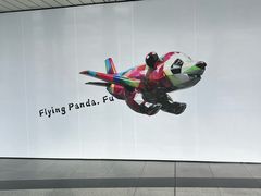 -福州长乐国际机场